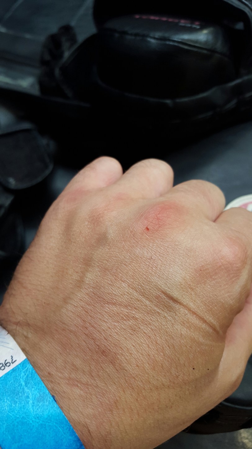 wp-1442189689053 image