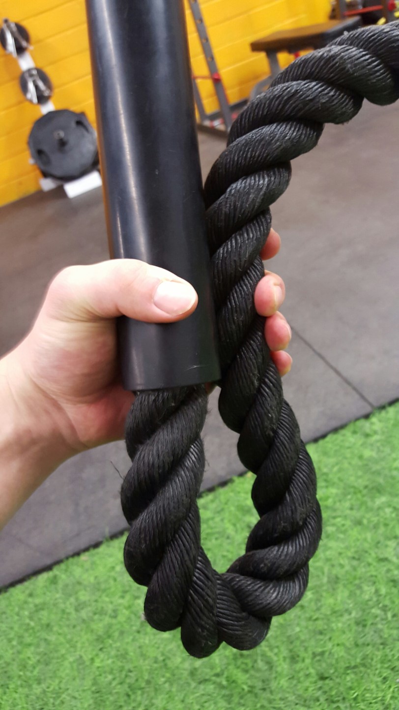 wp-1458151955245 image